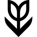 tulipe icon