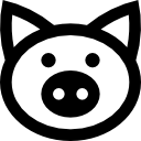 돼지 