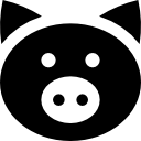 돼지 