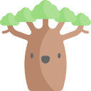 baobab