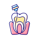 Endodontist 