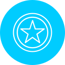 estrella icon