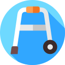 caminante icon