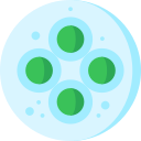 Gloeocapsa cyanobacteria 