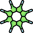 pediastrum simplex 