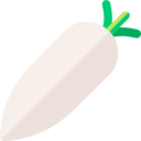 daikon 