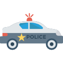 coche de policía 