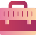 bolsa icon