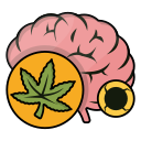 cerebro icon