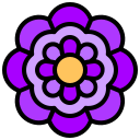 blume icon