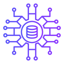 base de datos 