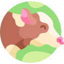 vaca icon