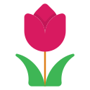 Tulip icon