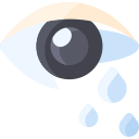 ojo icon