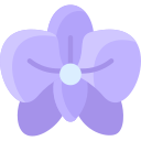 orquídea icon