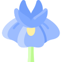 iris icon