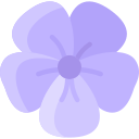 violeta icon