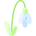 campanilla de febrero