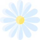 aster icon