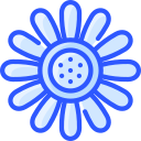 girasol icon