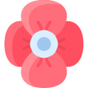 amapola icon