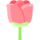 tulipán icon