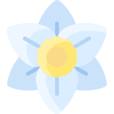 narciso icon