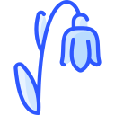 campanilla