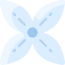 bouvardia icon