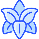 lirio icon