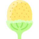 piña icon