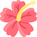 hibisco icon