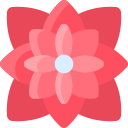 flor de pascua icon