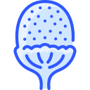 piña icon