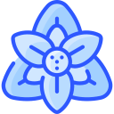 amarilis icon