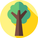 Árbol icon