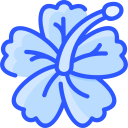 hibisco icon