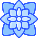 flor de pascua icon