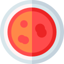 bacterias icon