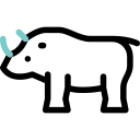 Rhinoceros 