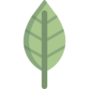 hoja icon