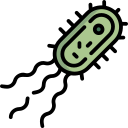 bacterias icon