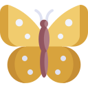 mariposa