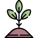 planta icon