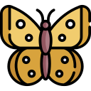 mariposa