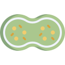 mitosis icon