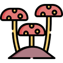 hongos icon