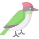 pájaro carpintero icon