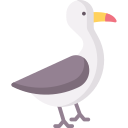 gaviota 