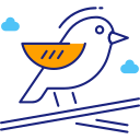 pájaro icon